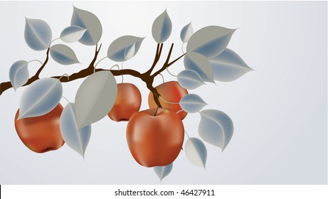 abstract apple branch with fruit saturated to stand out