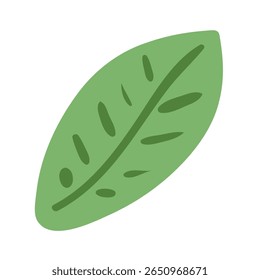 Abstrato, folha de macieira, folha verde isolada em transparente. Ilustração de vetor plana desenhada à mão. Planta, folhagem, vegetação, clip-art botânico, elemento de design sazonal