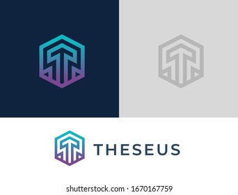 Abstract arrow tech logo. Letter T logotype. Simple digital connection technology logo. Creative hexagon and arrow icon.