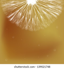Abstract art background with dandelion and bubbles