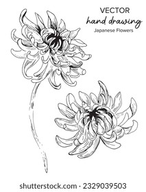 Abstrakter Kunsthintergrund, handgezeichnet, Vektorgrafik. Luxuriöse Tapete im minimalistischen Stil mit Linien-Kunstblumen und japanischen Blättern, organische Formen, Aquarell. Vektorhintergrund für Banner, Poster, Web und Verpackung.