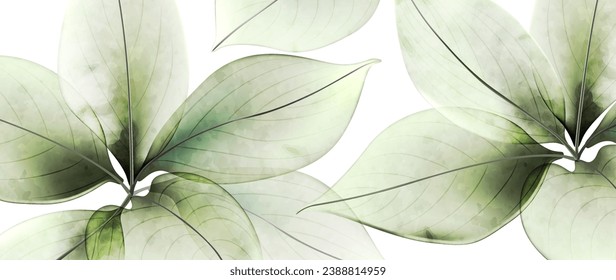 Abstract art background with transparent leaves of flowers or trees in green color. Nature vector banner in watercolor style for decoration, print, textile, interior design, wallpaper