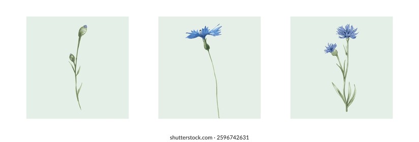Abstract art background vector. Luxury minimal style wallpaper with line art flower and botanical leaves, Organic shapes, Watercolor. Vector background for banner, poster, and web