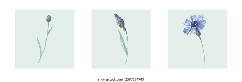Abstract art background vector. Luxury minimal style wallpaper with line art flower and botanical leaves, Organic shapes, Watercolor. Vector background for banner, poster, and web
