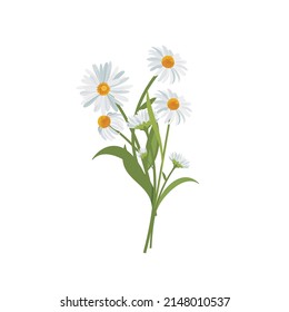 Abstract art botanical background vector. Luxury flower