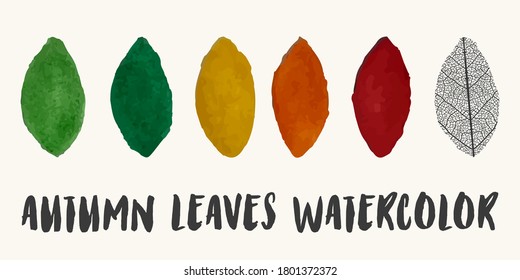 Abstract art design template background or logo watercolor autumn colorful withering leafs trees: green, yellow, orange, red. Symbol autumn leaf fall. Vector illustration.