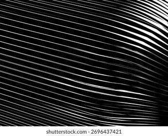 Fondo geométrico del arte Abstractas con el modelo abstracto brillante de las rayas negras y blancas 3D. Ilusión óptica en blanco y negro con ondas y transiciones.	
