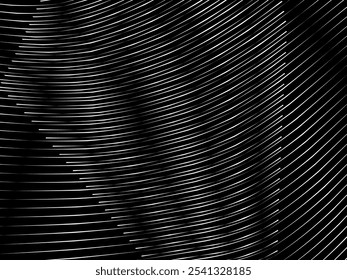 Fondo blanco geométrico del arte Abstractas con las líneas negras abstractas 3D. Ilusión óptica en blanco y negro con ondas y transiciones.