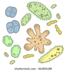 Abstract Art Microbes, bacteria and virus, microorganism and bacilli illustration. Vector