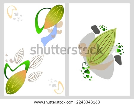 Abstract art nature background vector. Modern shape line art wallpaper. Boho foliage botanical tropical leaves and floral pattern design for home deco, wall art, social media post and story background