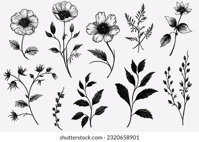 Abstract art vector illustration. silhouette set. Hand drawn vector illustration. black elements. modern Art. Prints, wallpapers, posters, cards, murals, rugs, hangings, prints