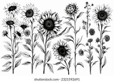 Abstract art vector illustration. SVG, black and white design, hand drawn vector illustration. black elements. modern Art. Prints, wallpapers, posters, cards, murals, rugs, hangings, prints