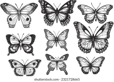 Abstract art vector illustration. SVG, black and white design, hand drawn vector illustration. black elements. modern Art. Prints, wallpapers, posters, cards, murals, rugs, hangings, prints