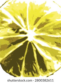 Abstract artistic lemon slice vector illustration. High contrast pop art style citrus macro background isolated on white.