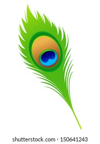 abstract artistic peacock feather vector illustration