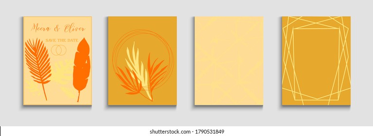 Resumen del conjunto de volantes de vectores asiáticos. Textura del marco geométrico. Fondo Mínimo De La Mano. Colas, hojas tropicales, afiches formas de líneas pintadas en estilo oriental. Diseño suave y elegante de la revista.