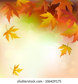 abstract autumn background