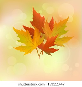 abstract autumn background