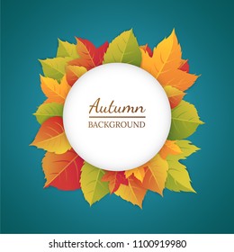 Abstract autumn background with bright leaves.