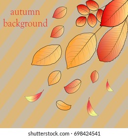 Abstract autumn background of bright leaves  in vector illustration.