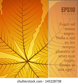 Abstract autumn background with chestnut leaf, vector EPS10
