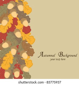 Abstract autumn background. Colored oak leaves and acorns.