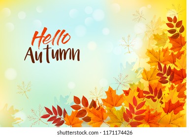 Abstract autumn background with colorful leaves. Vector