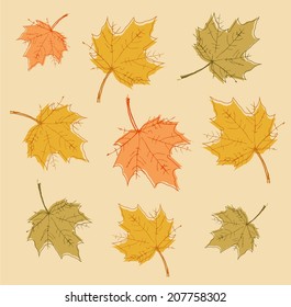 Abstract autumn background with colorful leaves. Vector.