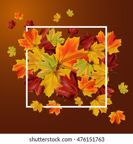 Abstract autumn background with colorful leaves, vector illustration
