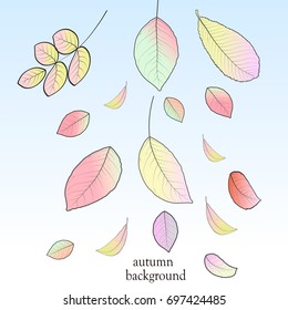 Abstract autumn background from colorful leaves in vector illustration.