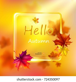 Abstract autumn background. Falling leaves of maple with a frame. Vector eps 10.
