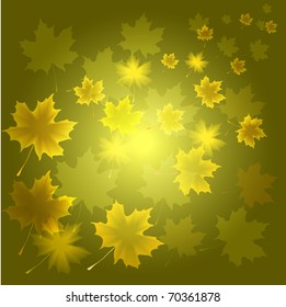 Abstract autumn background from flying leaves of a maple