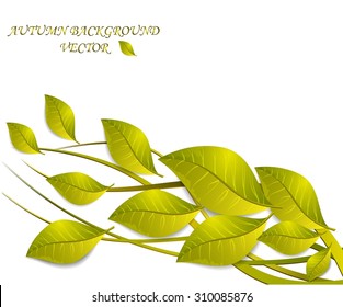 Abstract autumn background with leaves