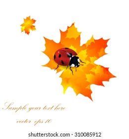 Abstract autumn background with leaves