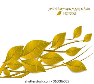 Abstract autumn background with leaves