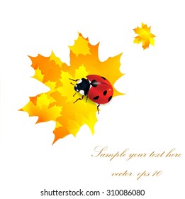Abstract autumn background with leaves