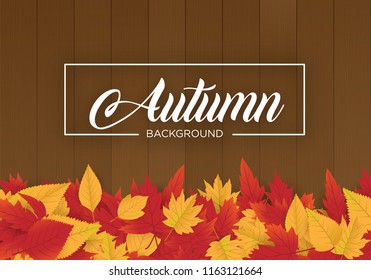 abstract autumn background template design with maple leafs vector eps 10