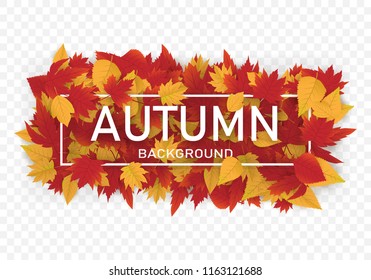 abstract autumn background template design with maple leafs vector eps 10