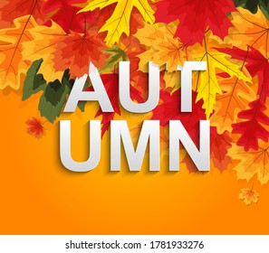 Abstract Autumn Background wiyj Falling Leaves. Vector Illustratiion EPS10