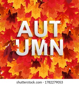 Abstract Autumn Background wiyj Falling Leaves. Vector Illustratiion EPS10