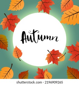 abstract autumn backgrounds for social media stories. Colorful banners with autumn fallen leaves and yellowed foliage. Use for event invitation, discount voucher, advertising.