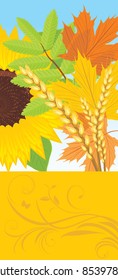 Abstract autumn banner with leaves, sunflower and wheat ears. Vector