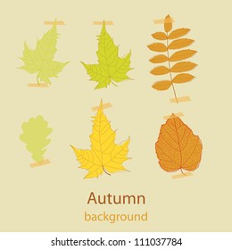 Abstract autumn beauty background with text for wallpaper, texture, poster, pattern, label, emblem, sign, frame, decoration, grungy ornament, illustration, border, brochure vector eps 10