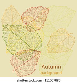 Abstract autumn beauty background with text for wallpaper, texture, poster, pattern, label, emblem, sign, frame, decoration, grungy ornament, illustration, border, brochure vector eps 8