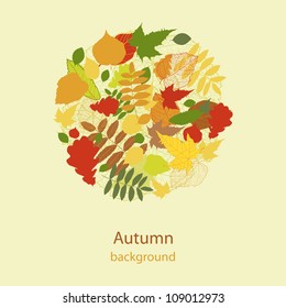 Abstract autumn beauty background with your text for wallpaper, texture, poster, pattern, label, emblem, sign, sybol, frame, decoration, grungy ornament, illustration, border, brochure vector eps 8