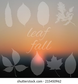 Abstract autumn blurred background, vector illustration. fall leaves.