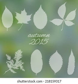 Abstract autumn blurred background, vector illustration. fall leaves.