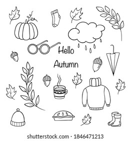 Abstract autumn doodle set for decoration design. Autumn  background. Vector art. Symbol, sign.