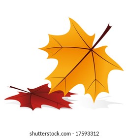 Abstract autumn icon with falling leafs on white