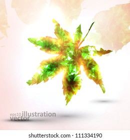 Abstract autumn leaf on colorful background, vector illustration eps10